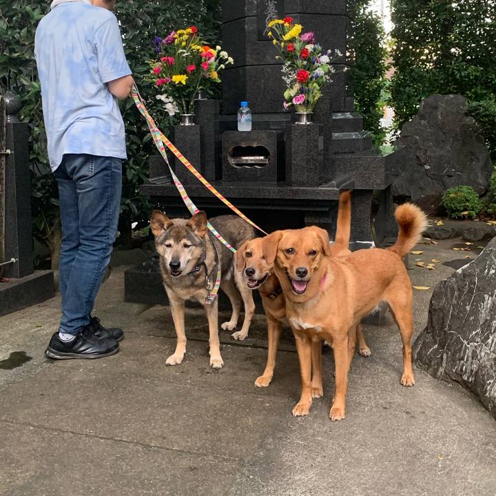 959ca34e c2a3 4d99 8e34 02bf358a979e 1569314464426