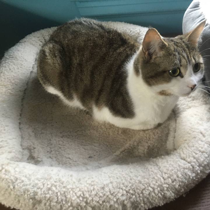 959cfabd ad59 4e18 b747 6ba3792ba83d 1618453262112