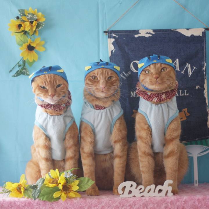 959cfb35 19bc 47a0 8542 a6e1eeed8e72 1722928572340