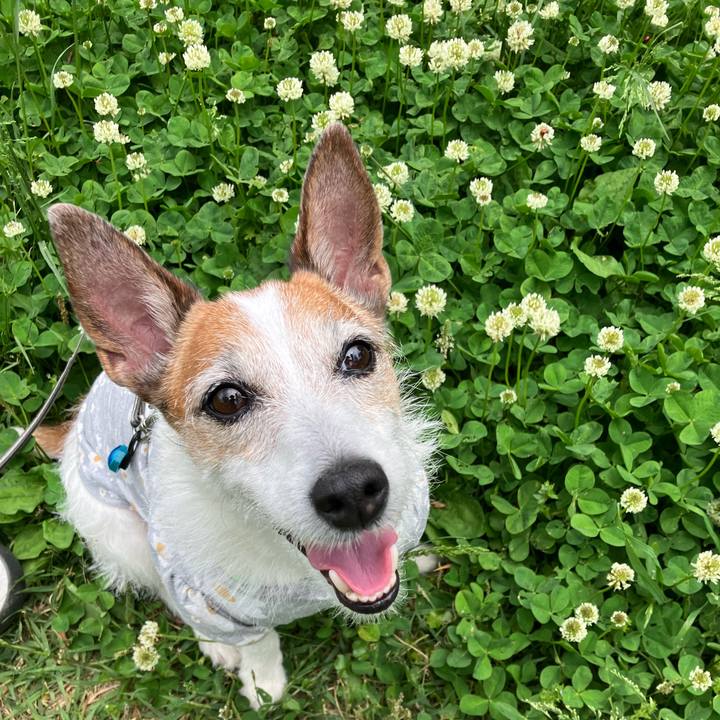 959d0b19 1ae7 4cd6 9496 0db7524d73d0 1683501864754