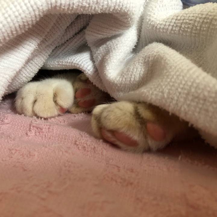 959d1080 617e 479c abd0 8e1a2481b105 1571030040178