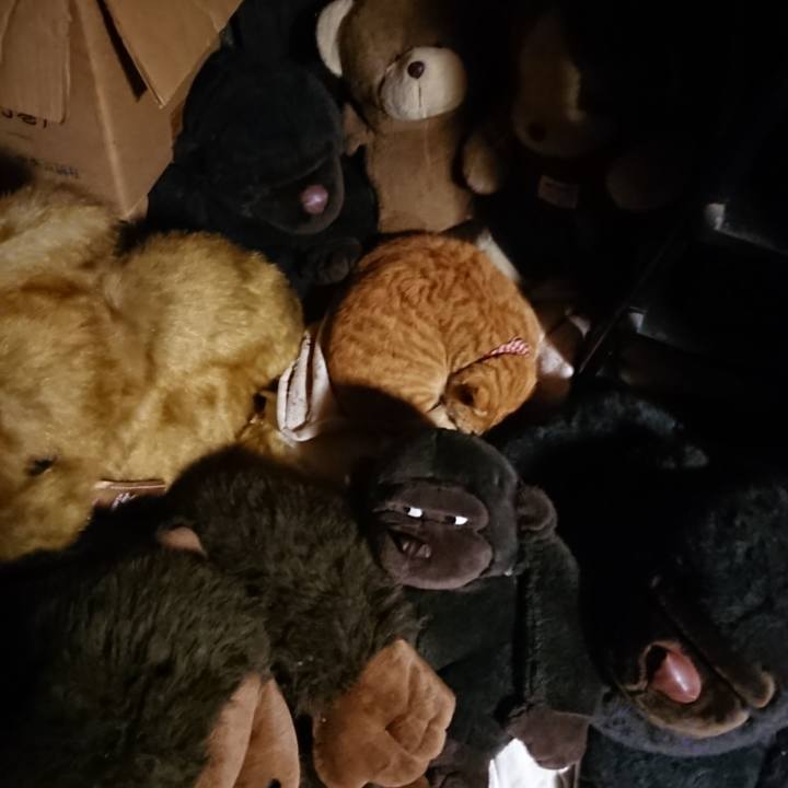 959d1317 44eb 4348 809e dd8c2d1a8a00 1606475105405