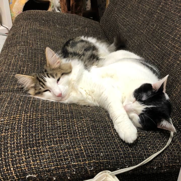 959d54f1 a984 42a7 b97f 3f53d4e63655 1517456519315