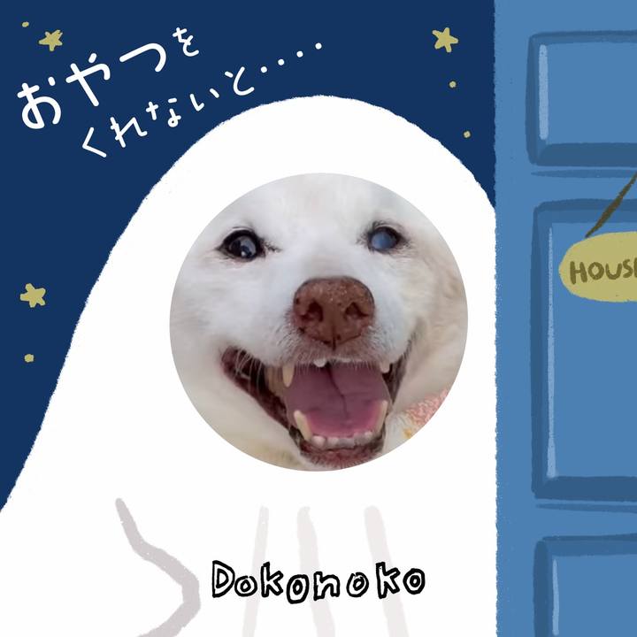 959d645f c53f 402a 9db9 f3c561c8317e 1729086096467