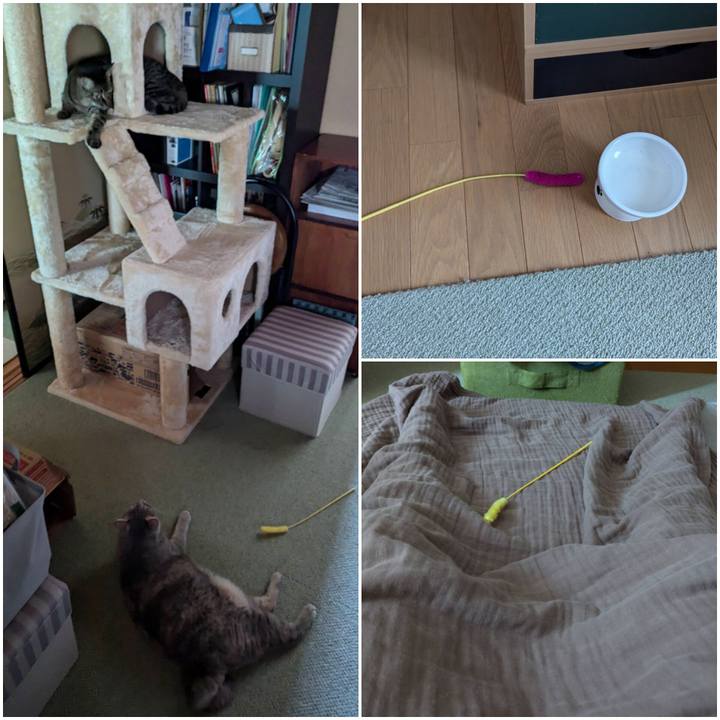 959d778a c4e8 40a2 b165 db41787cb957 1723269858678