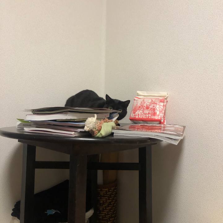 959d8d9e a76c 46c7 8b63 4310d2908738 1616889570434