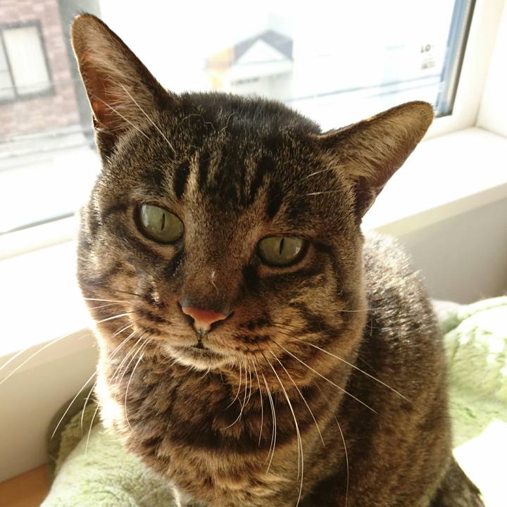 959d9c9d 1aa7 44ef bfe6 f6cd5662fe2b 1508231935168