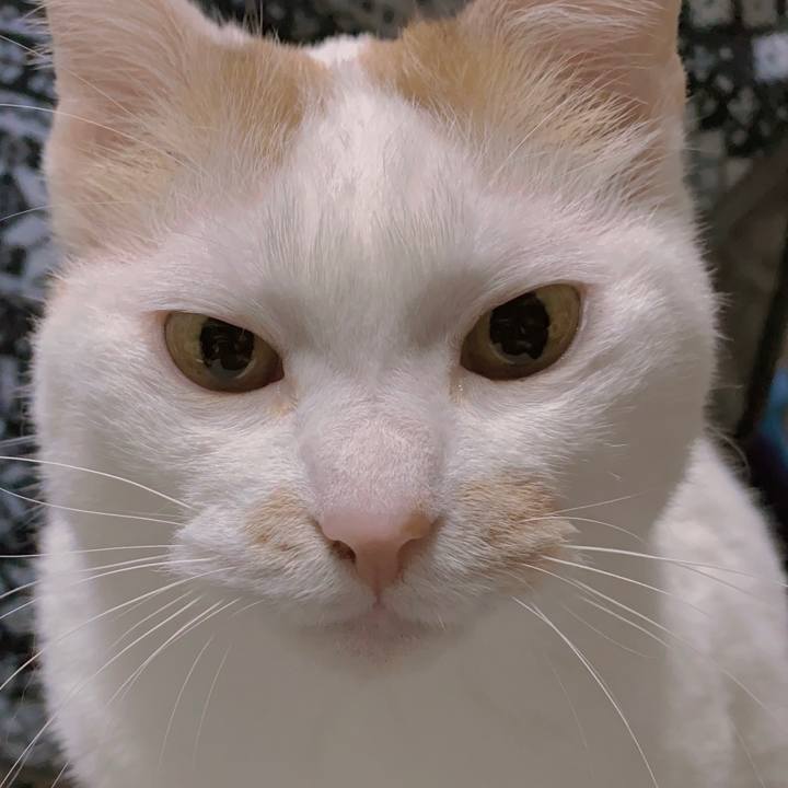 959db459 2b0e 44c0 887a 772b537fdfeb 1680341885647