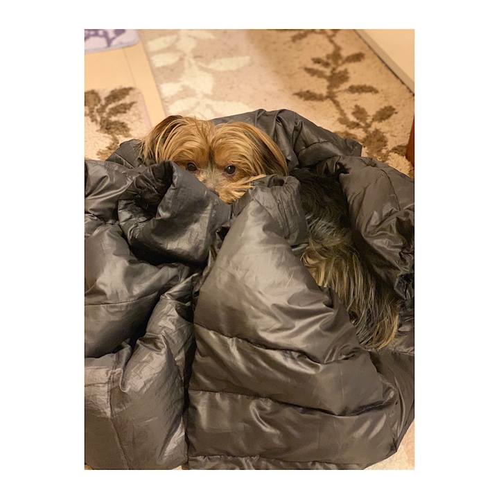 959e1c56 96e4 47fc 8389 016affecd85c 1548326227177