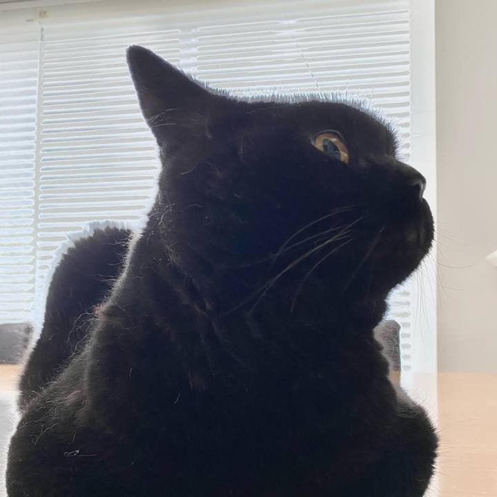 959ea1e4 ead8 43c5 934c d2e363a0a2ed 1628116628982