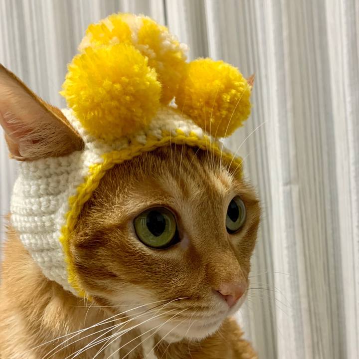 959ea3ae 32b2 4ca7 b843 411cacbc95b4 1631704781500