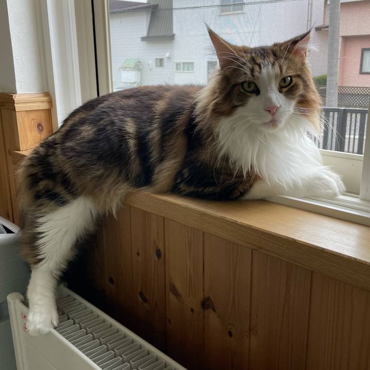 959ec03d bd17 4c31 ae4a a9f21a0fa095 1655504189526