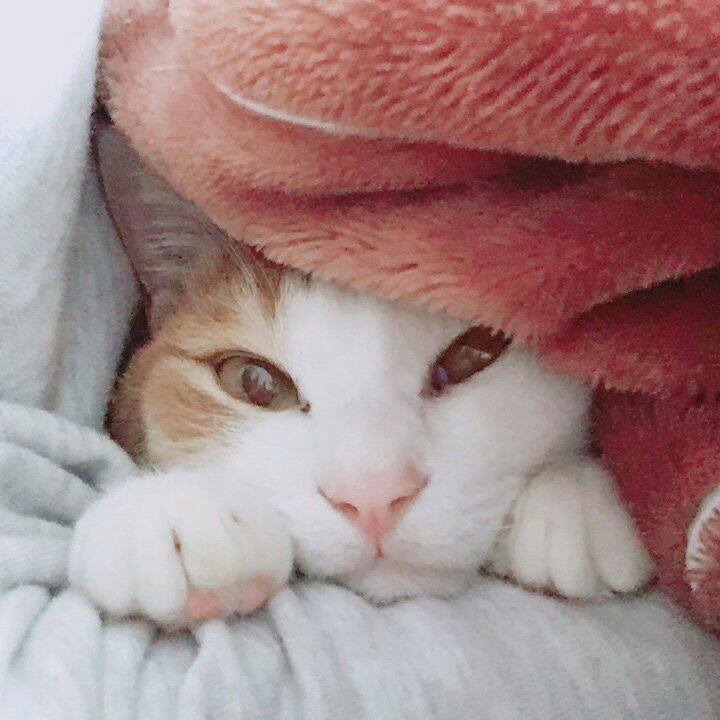 959ec3eb 43eb 4e46 8774 e266c92ce239 1513208599953