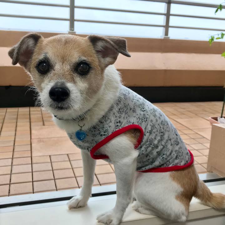 959ed3c1 1ea3 423a 9bf6 44dd719459fa 1625095805502