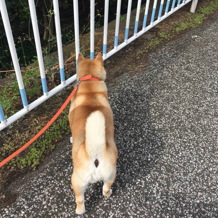 959ef6ab dbba 4466 91e9 3b19255dfb8f 1559259634969