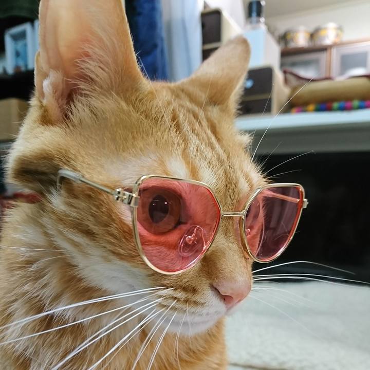 959f0939 e1ee 4f93 87ba ab4c049e615d 1554326334536