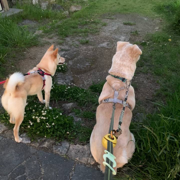 959f4f18 8e14 4094 b090 abf7703a9743 1556807393940