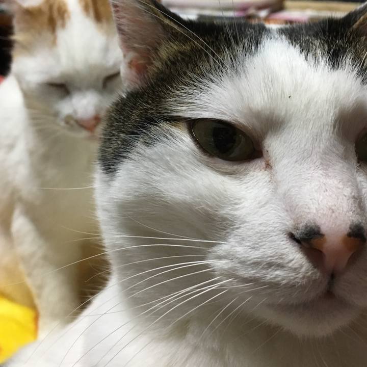 959f61a9 6b81 4d24 9d18 9fdf3ef2c176 1522241084205