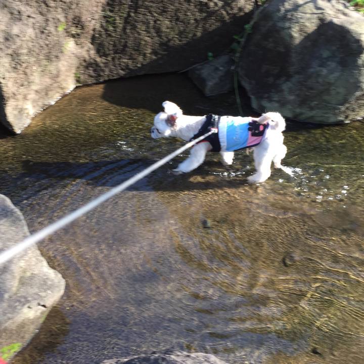 959f9512 6b7a 471a 936e 968510f6bad1 1540625862294