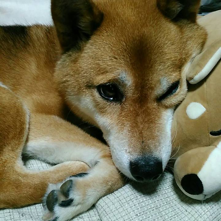 959fc5b0 23d8 4cd3 918b 63ebab9360b2 1563618296379