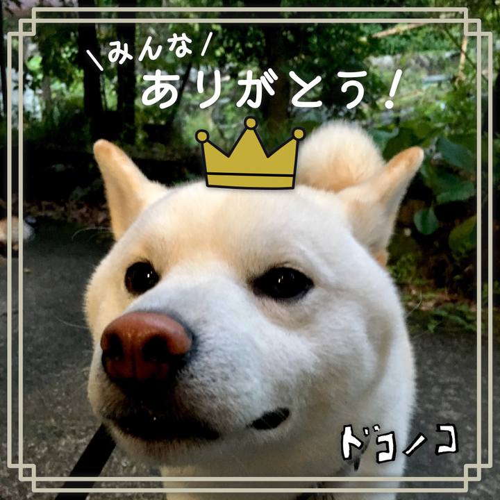 959fc682 ecaf 4f5d ac9b 99080f321e42 1622871224132