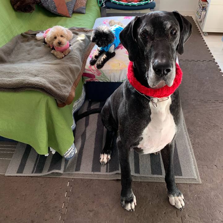 959fc6d5 64c6 4cde 85c6 41f4a74c697e 1550616419218