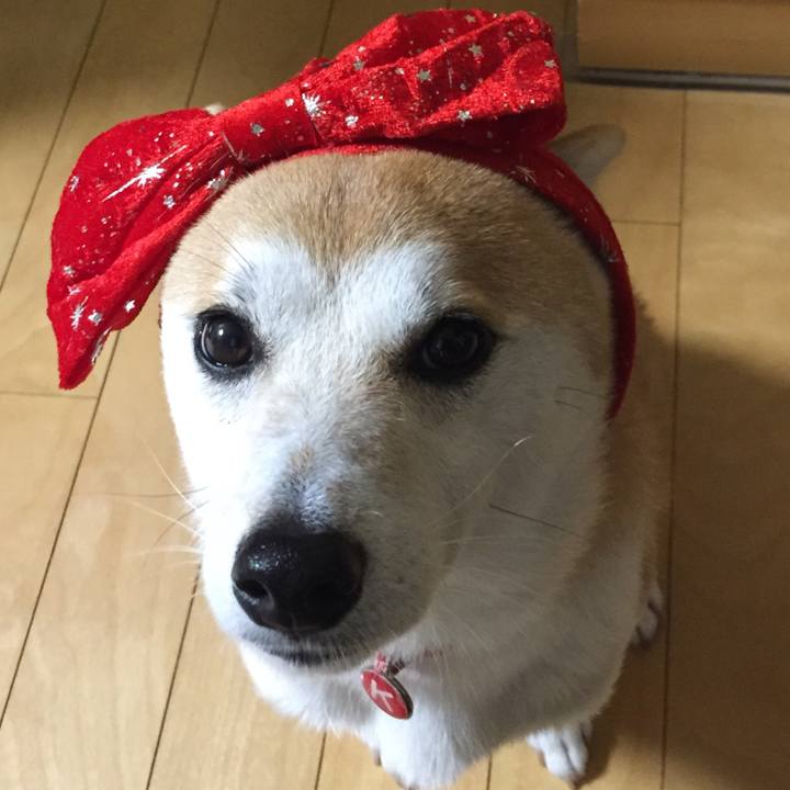 959fde3a e4e5 4651 aa7f 53b620762ef3 1513329648736