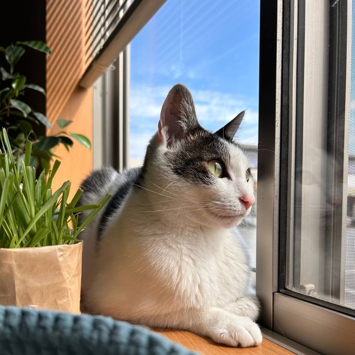 959fe843 cf59 4a1f b1a8 8f55e180e6d3 1715732672861