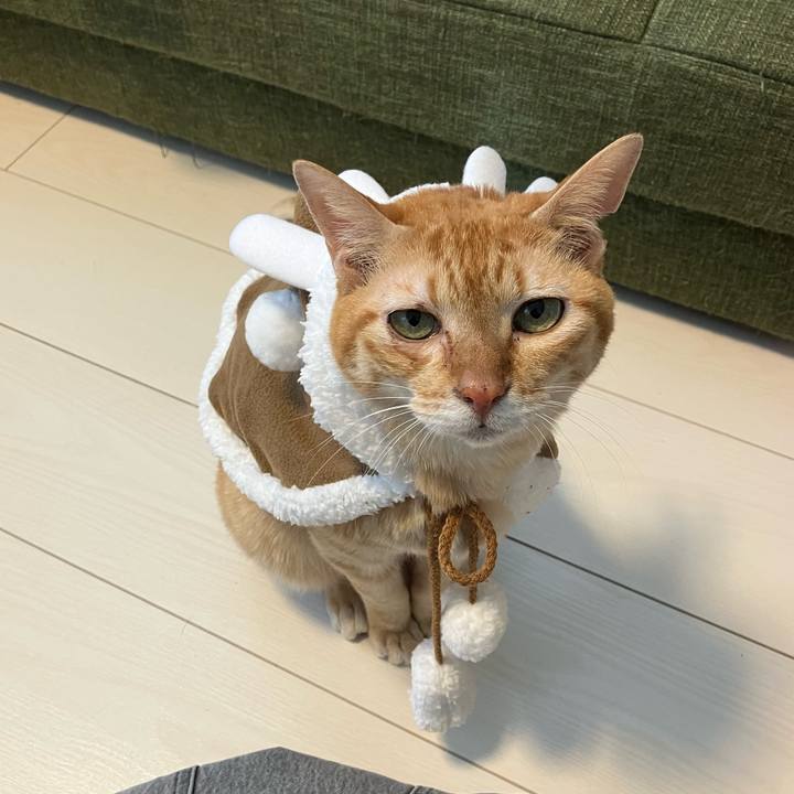 959fe873 013e 4371 b825 88e5d830b657 1764479132302