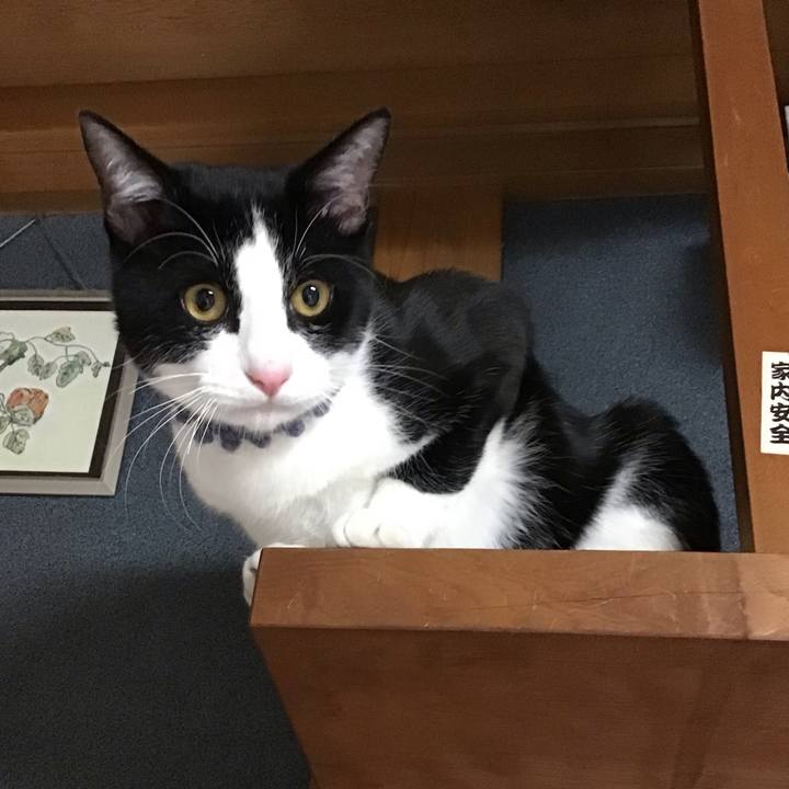 959ff279 2fdd 4cd8 8030 6d5f181582be 1640508305105