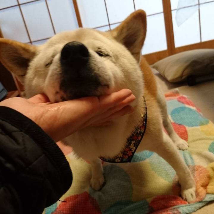 95a00640 5067 4771 b67c 02595e156d91 1577620057313