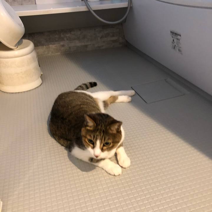 95a023d5 6251 4bdf a766 7922aee203c8 1532680840694