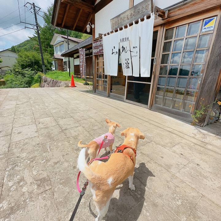 95a0385f 91a0 4c7d 9cb4 5ddc04b17783 1690943753914