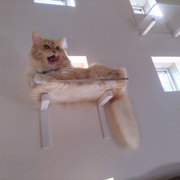 95a073cd da6c 4026 92b1 341fe026d0a5 1658716204723