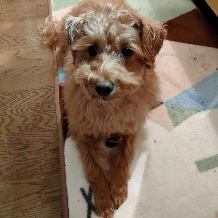 95a097c4 98c1 4996 9a6d 539f2d8f73f6 1608503492462