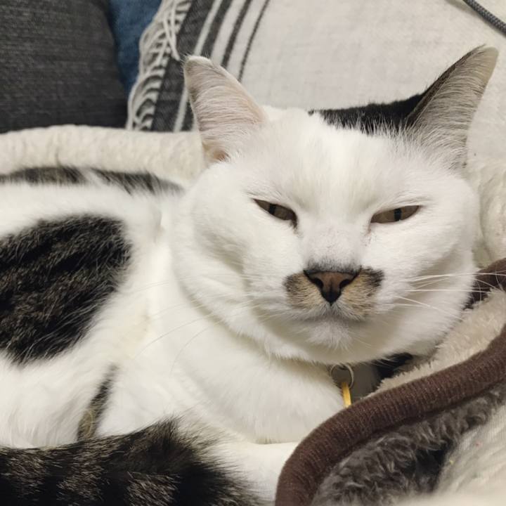 95a0b480 328b 426d 91ef 55275f8c3c2a 1547953609567