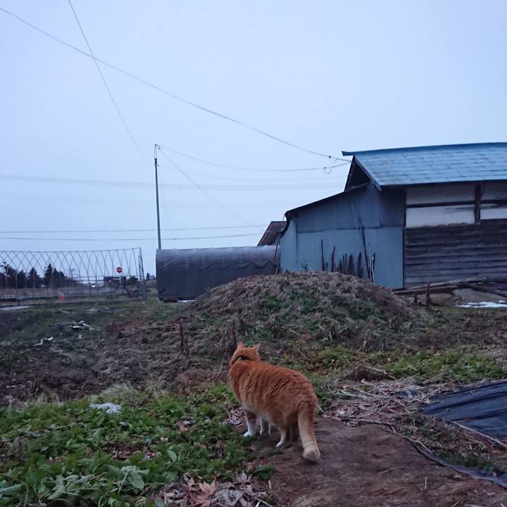 95a0bb33 563e 4965 ab0b 031ec856da0f 1580162175793