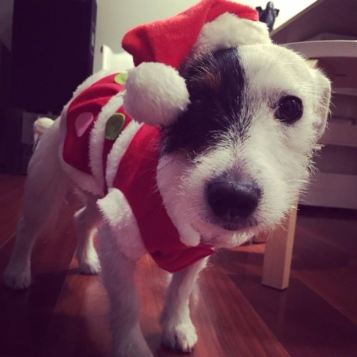 95a0bc0e 8841 4055 ae64 11bb7a6b896e 1734991535268