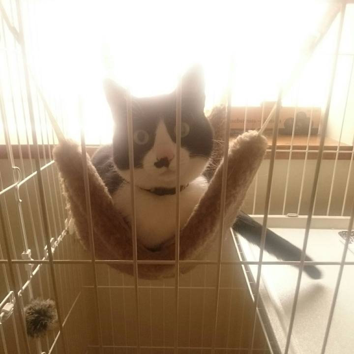 95a0d089 9860 474d 9314 a4cbf61fd591 1555976354185