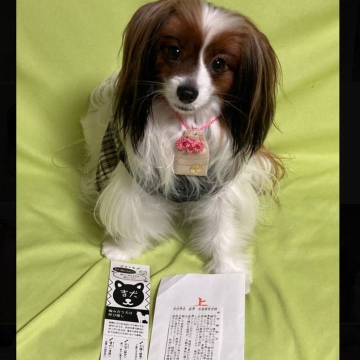 95a0e277 987f 4b3c 8159 c03b4e35cad0 1672638273680