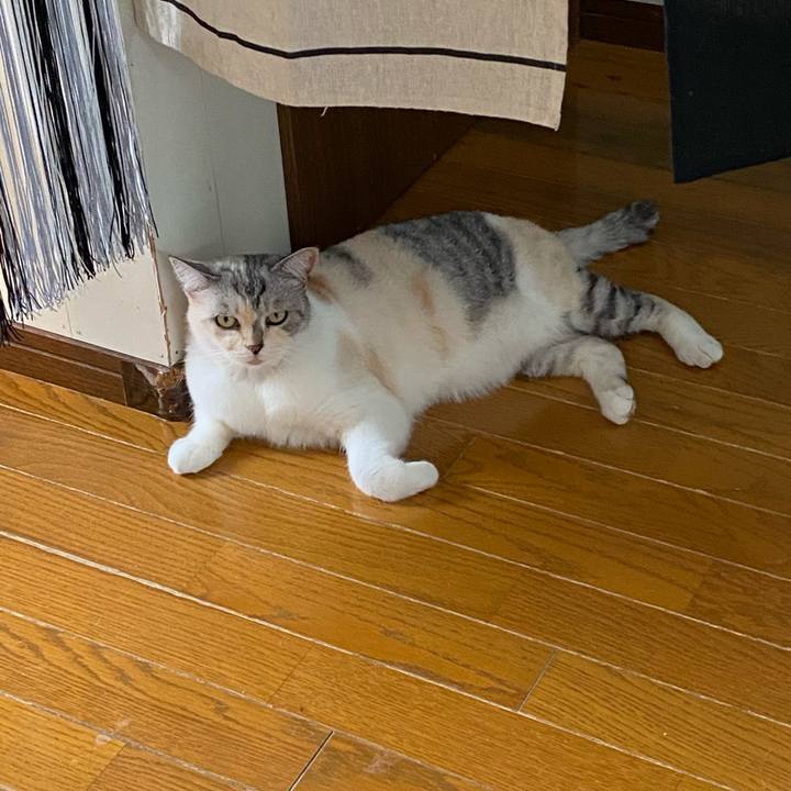 95a0e58c 654b 44f1 828e 1b8b07c74eb3 1630915881585