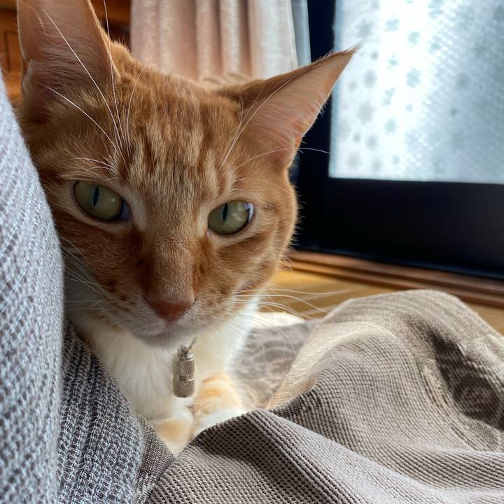 95a11005 dee6 41aa b956 8f1bc4d02c36 1650631313778