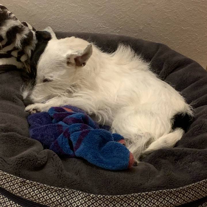 95a11cb3 3d2a 4ac3 aa0a 05e2f2e6b750 1671378527710