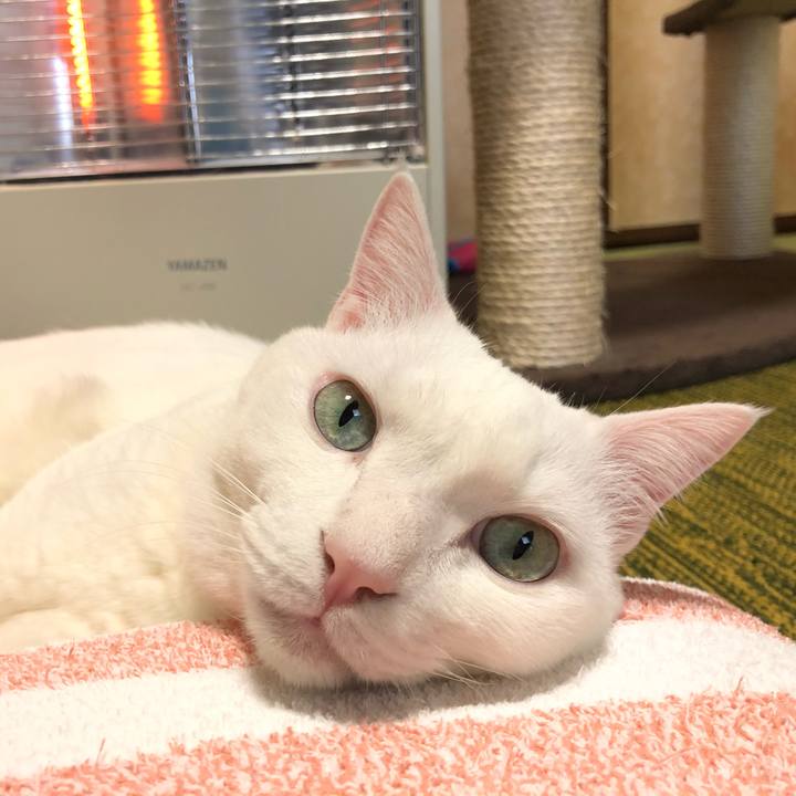 95a12705 b844 4ef2 aa33 1357ecafe41e 1586249436309