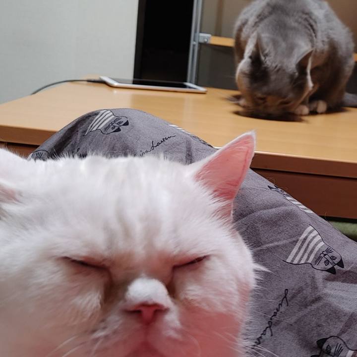 95a1961d fde7 4a2e a919 8a6b88eaa7fc 1681735165575