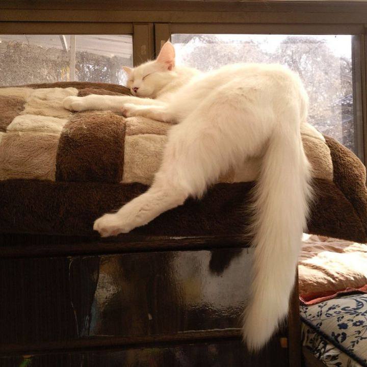 95a1cc69 0ea9 4d9a 837c a980c8951c62 1677441456144