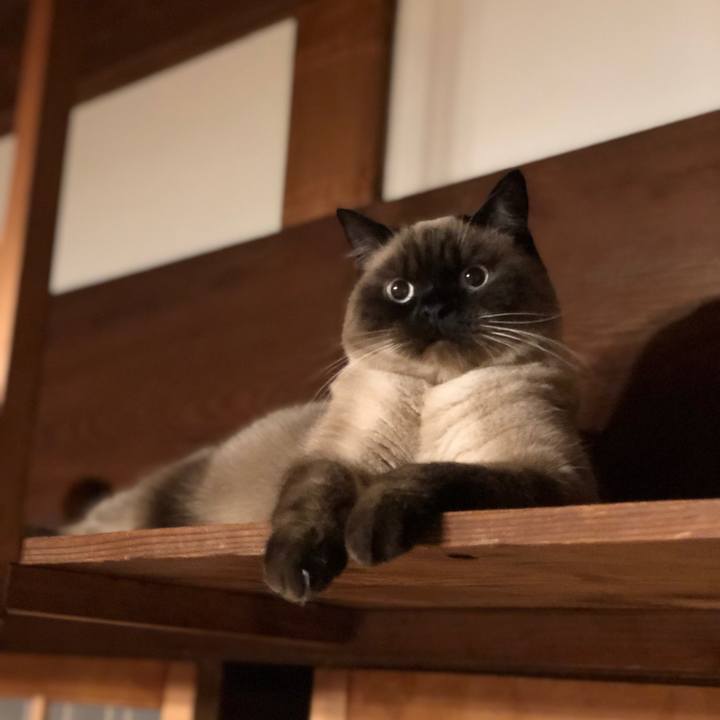 95a1ddc0 c438 4d9d b78c 9de8eb4714af 1608294629449