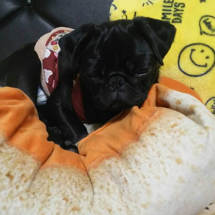 95a23a02 bbf7 4ca9 b440 2966fbab5815 1516806009520