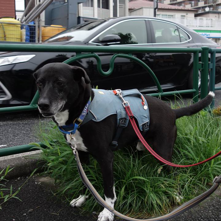 95a23e19 036c 4d97 8afe f45b36260df9 1719621163539