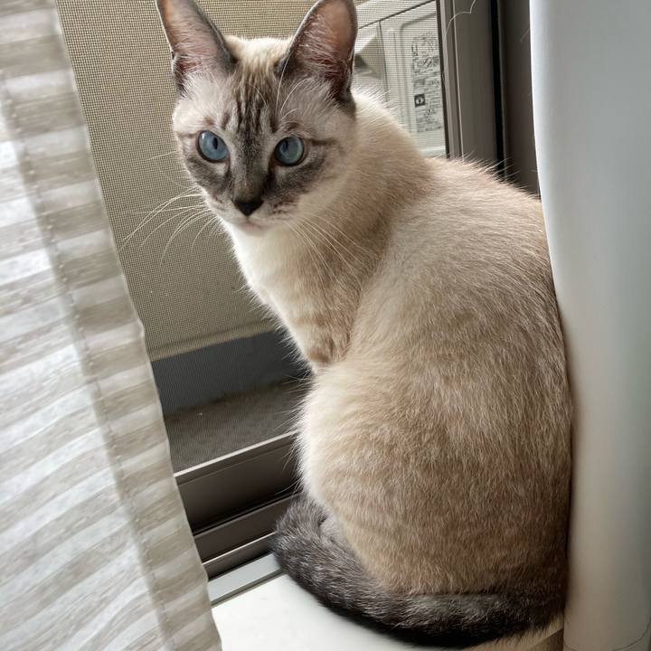 95a23e7d 1247 4538 b97c 3e747de268ae 1600297164142